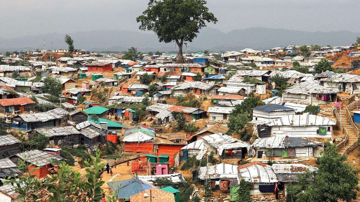 Rohingya
